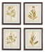 Dyani Wall Art (Set of 4) image